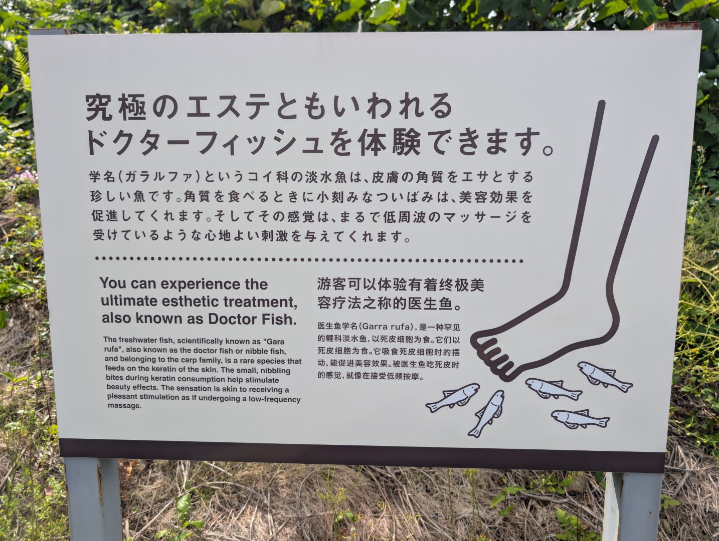 A sign explaining doctor fish.